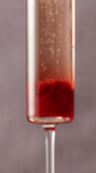 Razzmatazz Champagne Cocktail