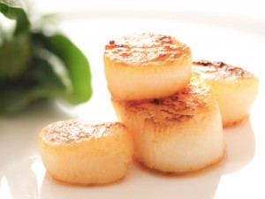 pan seared sea scallops