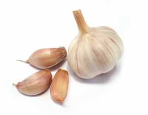 garlic 