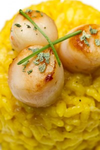 Sweet Corn Risotto with Diver Scallops 