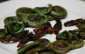 Fiddlehead Ferns