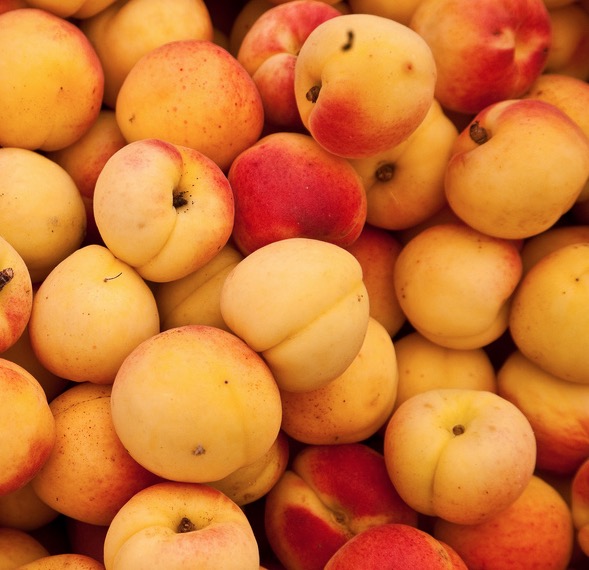 Compress fresh apricots for a sous vide apricot salad with SousVide Supreme